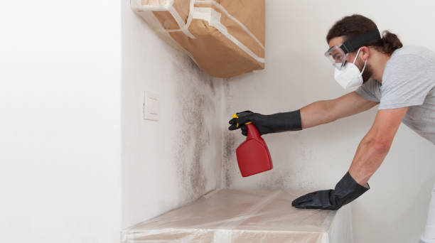 Professional Basement Mold Removal technician working in Dupont, PA